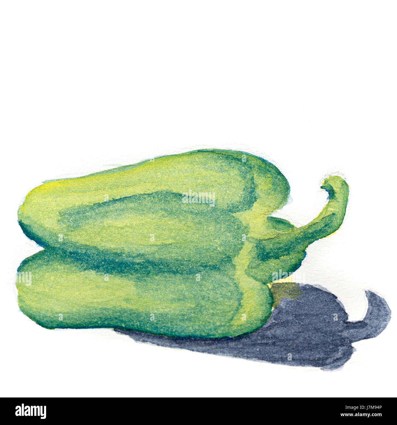 Ancora in vita con vernice ad acquerello. Pepe vegetali su uno sfondo bianco. Elementi di design. Foto Stock