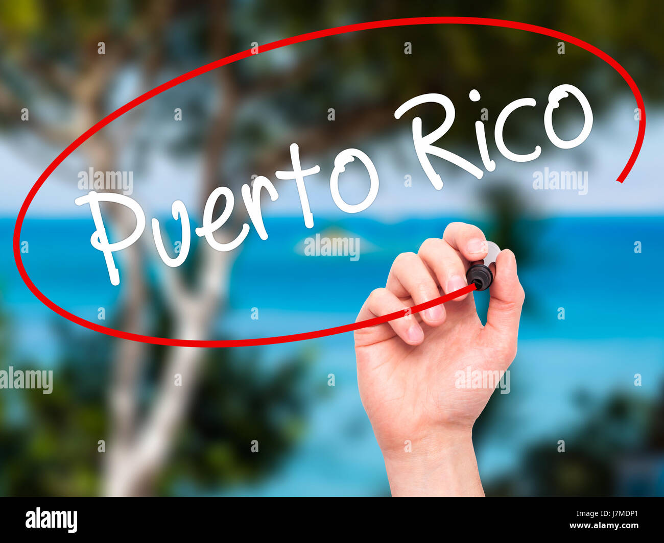 Man mano che scrive Puerto Rico con pennarello nero su schermo visivo. Isolato sulla natura. Business, tecnologia internet concetto. Stock Photo Foto Stock