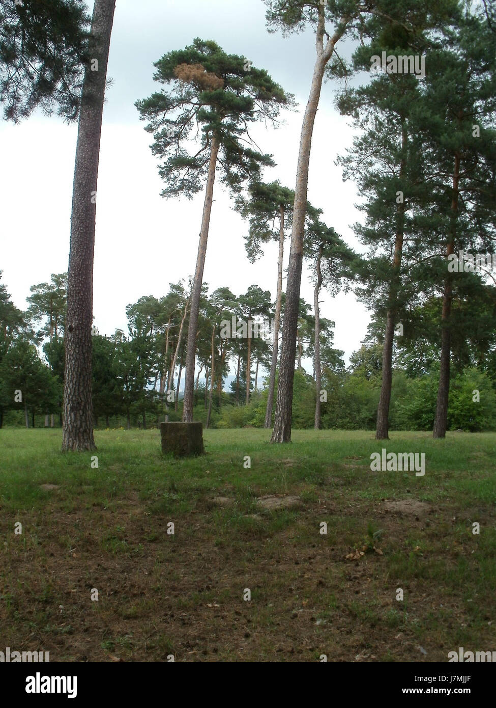 L'immagine mostra il FeldherrenhÃ¼gel, una collina storica a Oftersheim, in Germania. È noto per il suo significato storico, probabilmente come sito per eventi militari o reperti archeologici. Foto Stock