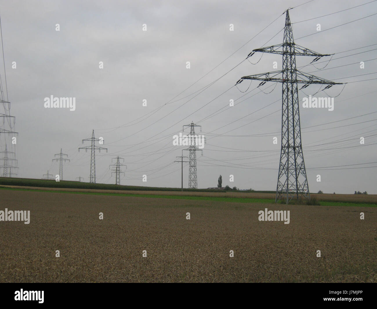 La linea elettrica a 110 kV tra Sindelfingen e Leonberg, fotografata il 31 luglio 2011, fa parte dell'infrastruttura elettrica regionale in Germania. Questa linea di trasmissione svolge un ruolo cruciale nell'alimentazione delle aree circostanti. Foto Stock