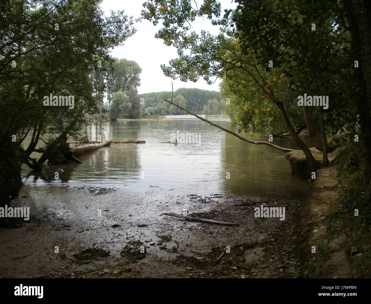 Altrhein Oberhausen 3 si riferisce a una località di Oberhausen, in Germania, lungo il fiume Altrhein. Questo sito può essere notevole per la sua rilevanza storica, ambientale o culturale, in particolare in termini del ruolo del fiume nello sviluppo della regione. Foto Stock