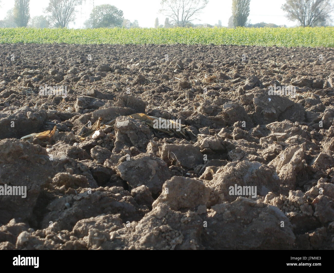 Questa immagine cattura un campo incolto a Hockenheim, in Germania, il 22 ottobre 2011. Il campo non è arato, mostrando un'area di terra nel suo stato naturale, probabilmente utilizzata per l'agricoltura o la conservazione. Foto Stock