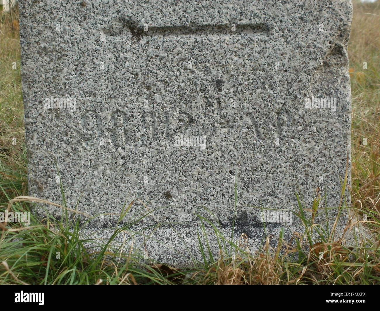 20111024myriameterstein rheinsheim5 Foto Stock