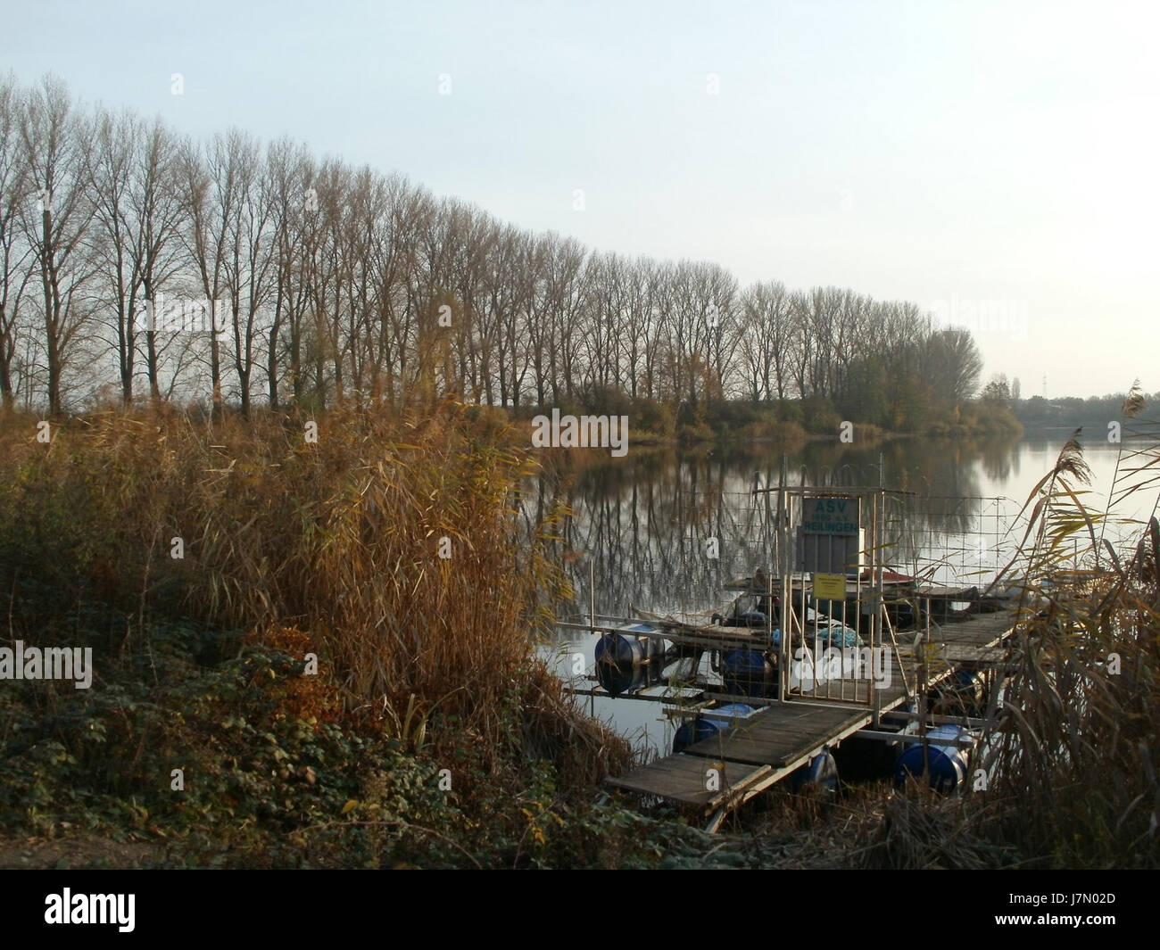 Un documento fotografico o un resoconto storico del Reilinger SEE, un lago situato nella regione tedesca di Heidelberg. Può rappresentare un punto di riferimento naturale o un'area di interesse significativa in questa regione. Foto Stock