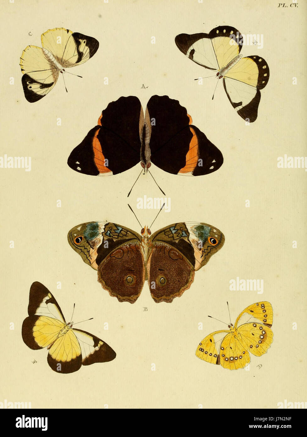 Cramer & Stoll uitlandsche kapellen vol. 2 piastra 105 Foto Stock