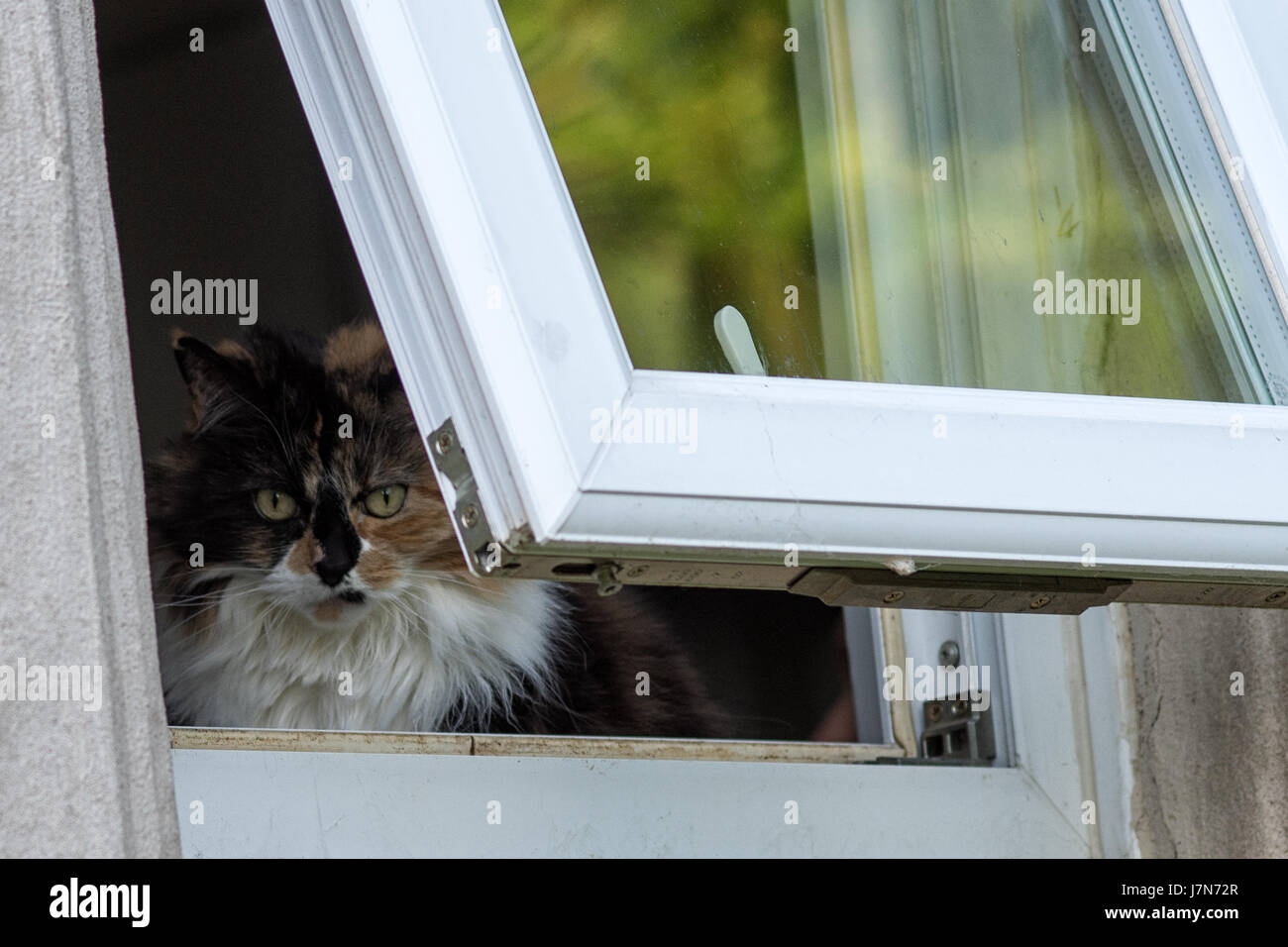 Melton Mowbray 25 Maggio 2017: giornata calda in centro città come cat watchers goings in strada su una soleggiata sera. ©Clifford Norton/Alamy Live Foto Stock