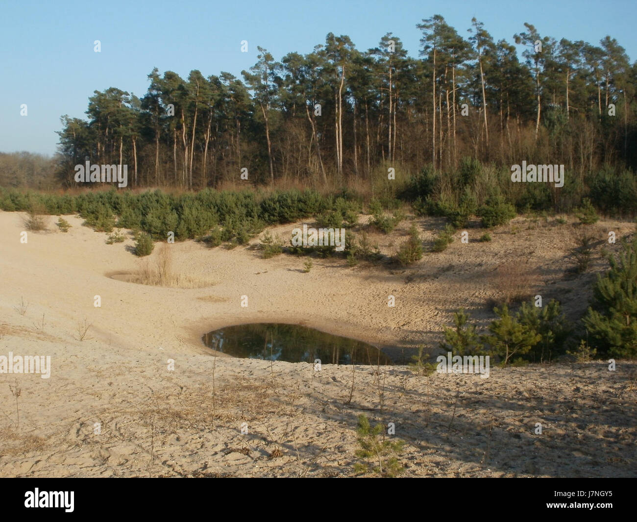 Il Wasserloch è una sezione dell'Hockenheimring, una pista di gara ben nota in Germania. Questa zona è famosa per le sue curve impegnative e gli eventi di corse ad alta velocità. Foto Stock