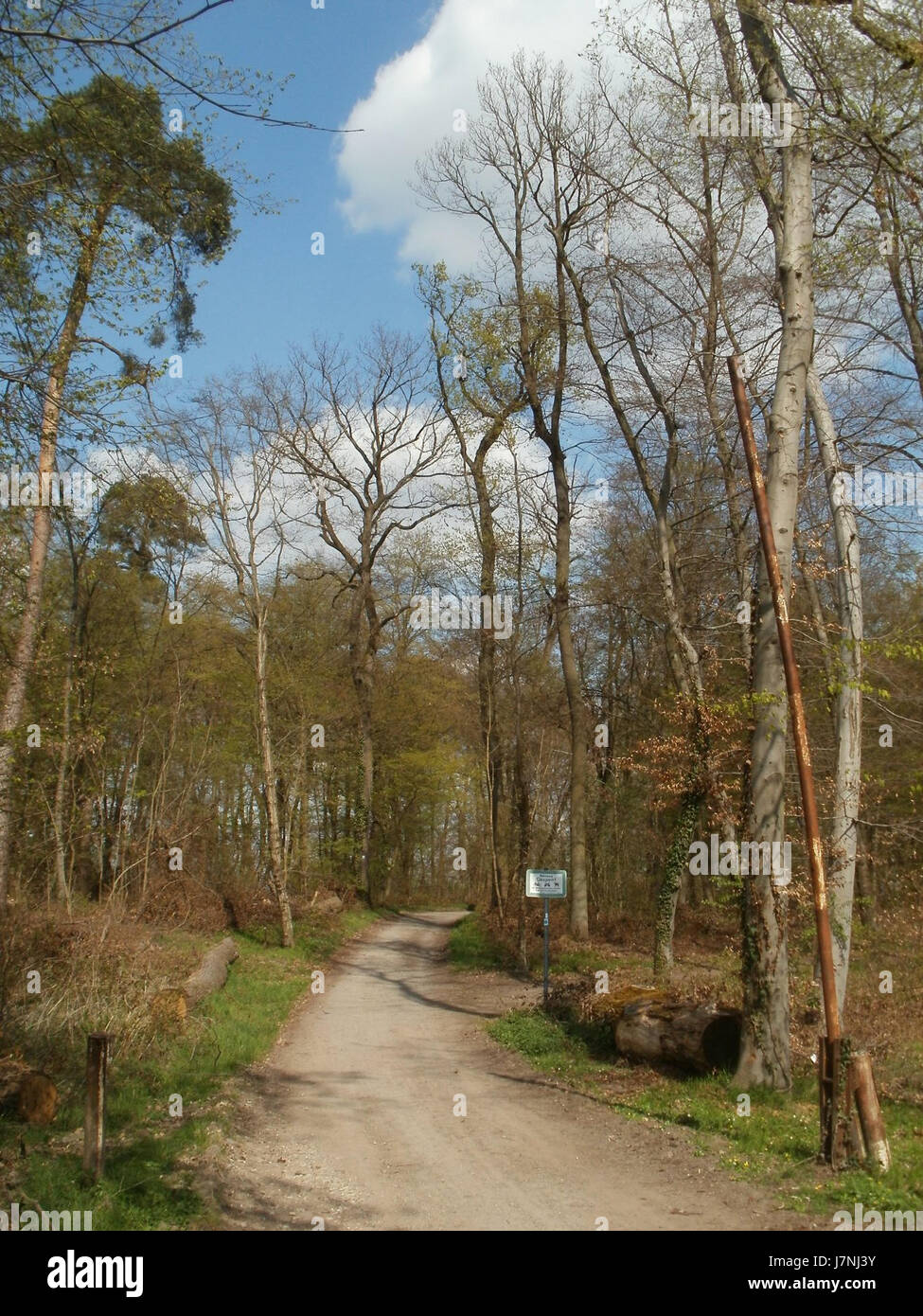 Questo titolo si riferisce probabilmente a un luogo o evento specifico a Untere Lusshardt, St. Leon, l'8 aprile 2012. Potrebbe riferirsi a un evento locale o a una caratteristica geografica in quella zona. Foto Stock Questo titolo si riferisce probabilmente a un luogo o evento specifico a Untere Lusshardt, St. Leon, l'8 aprile 2012. Potrebbe riferirsi a un evento locale o a una caratteristica geografica in quella zona. Foto Stock