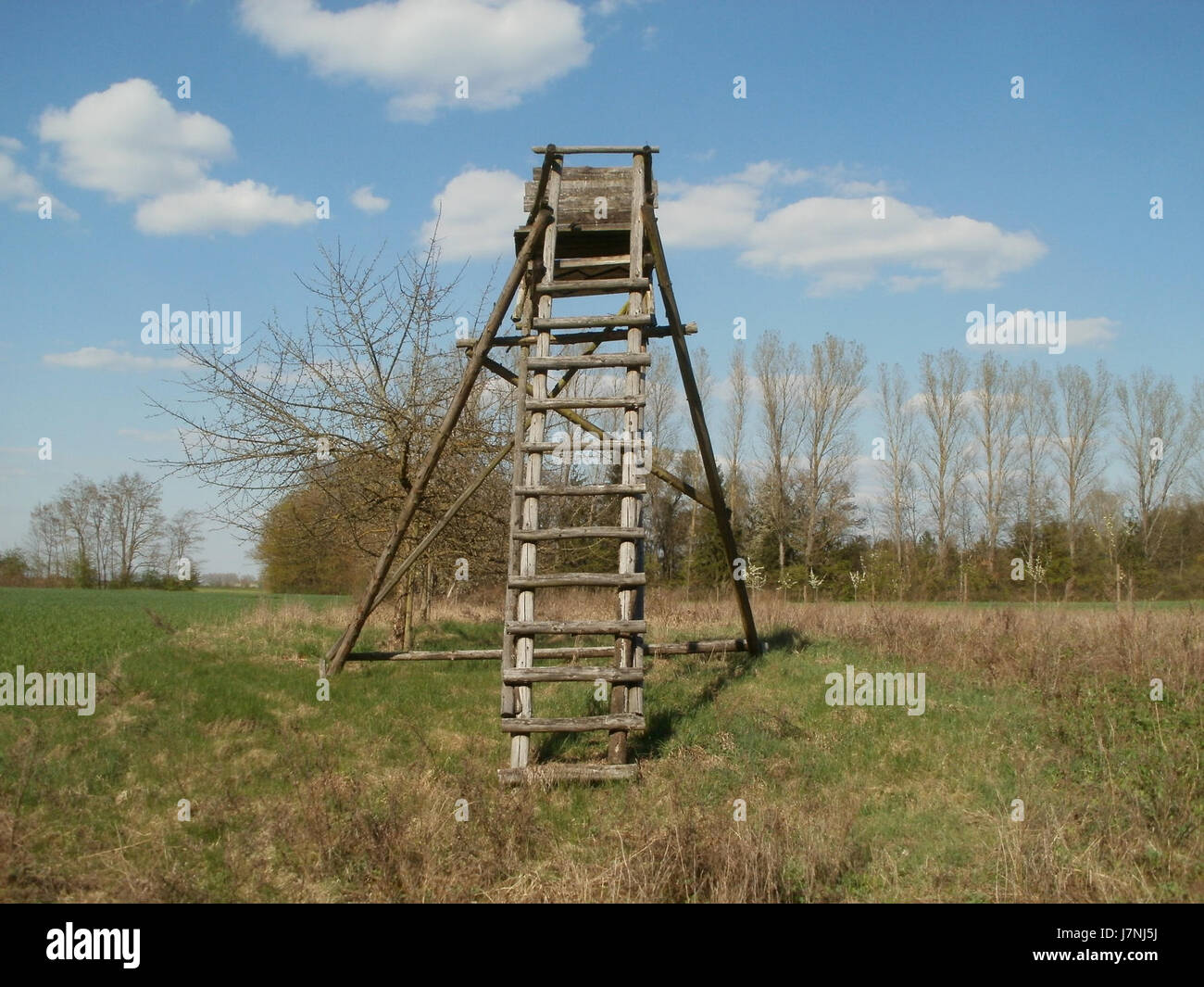 Questa fotografia cattura una vista panoramica di Hochsitz ad Altlussheim, un tipo di torre di osservazione comunemente utilizzata nella caccia e nell'osservazione della fauna selvatica. Foto Stock