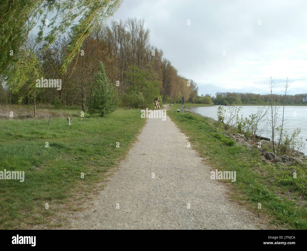 Il titolo si riferisce a un evento o a una documentazione del 22 aprile 2012, che coinvolge la regione di Rhein Altlussheim, che potrebbe riguardare sviluppi locali o un'osservazione storica in questa zona della Germania. Foto Stock