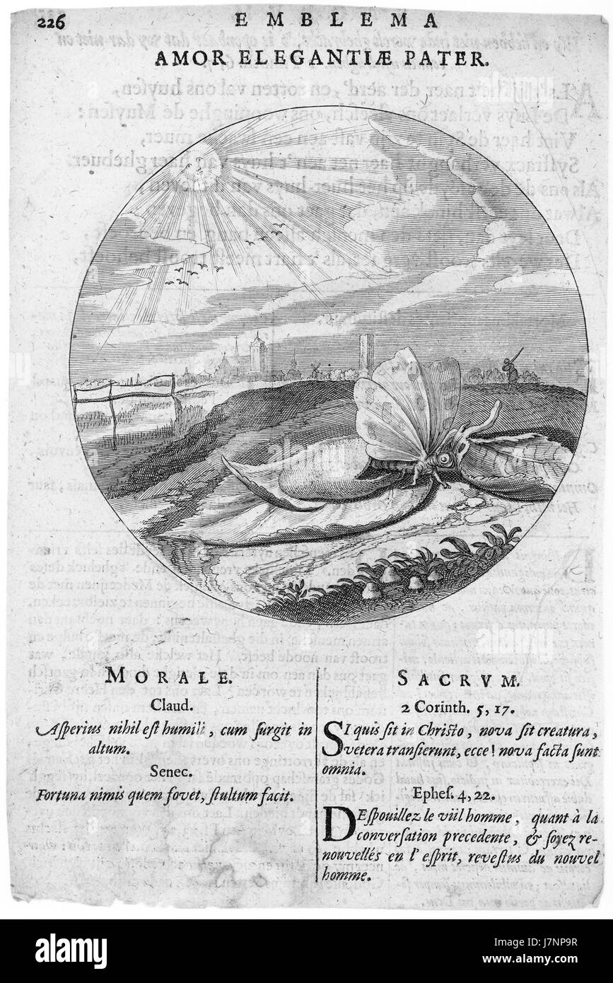 CatsMonita1620p226 Foto Stock