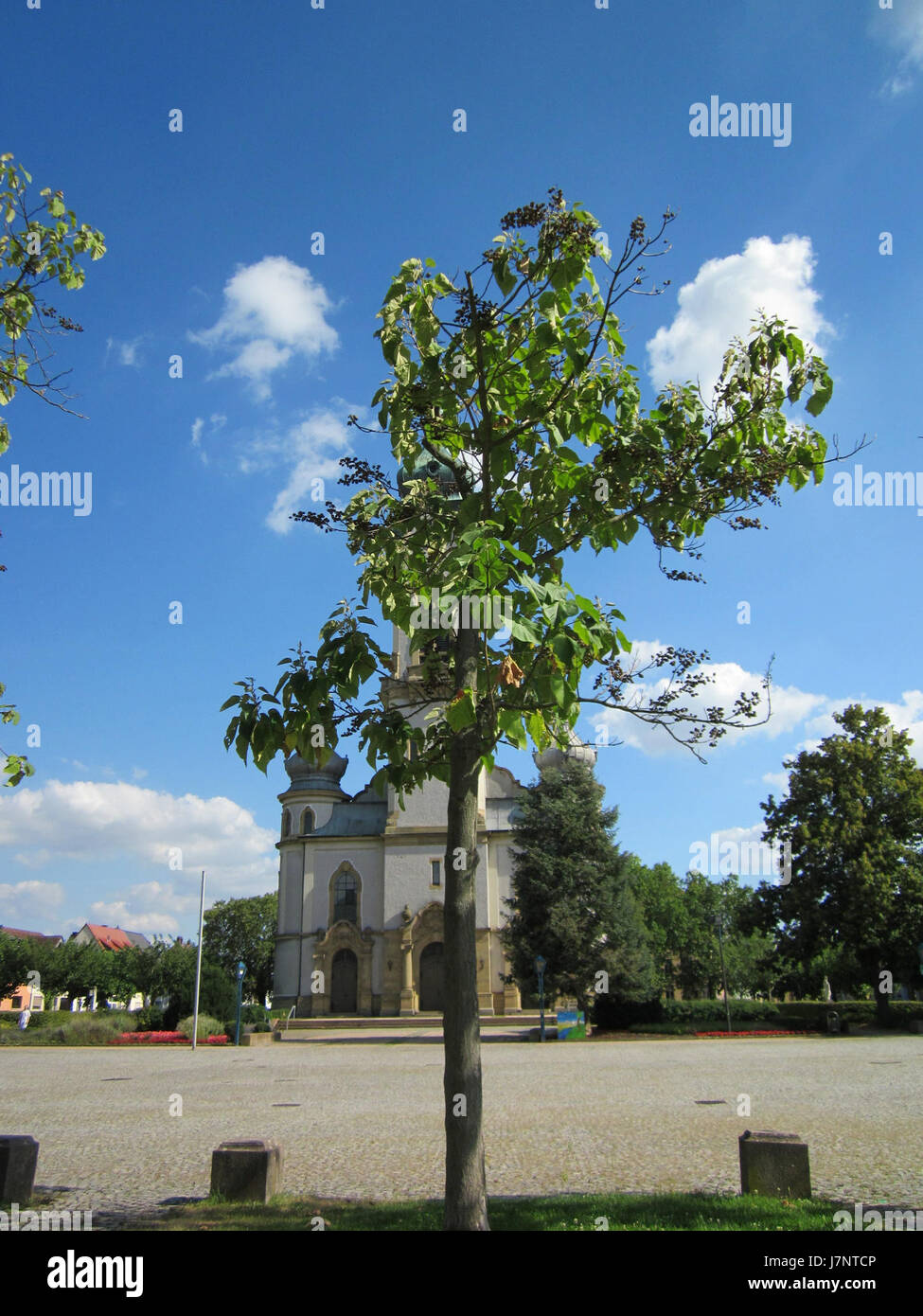 L'Hockenheimring in Germania è un famoso circuito automobilistico noto per ospitare gare di Formula 1. Questa immagine del 16 agosto 2012 raffigura un evento in pista, che mostra l'azione di gara. Foto Stock