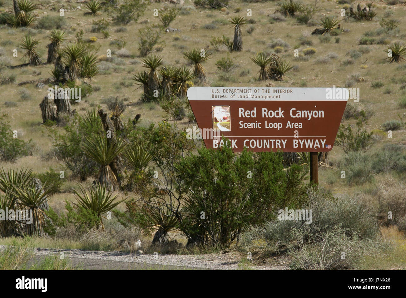 Questa immagine cattura un segnale di viaggio panoramico dal Red Rock Canyon in Nevada, una rinomata area protetta nazionale conosciuta per i suoi paesaggi desertici mozzafiato e le formazioni geologiche. Foto Stock