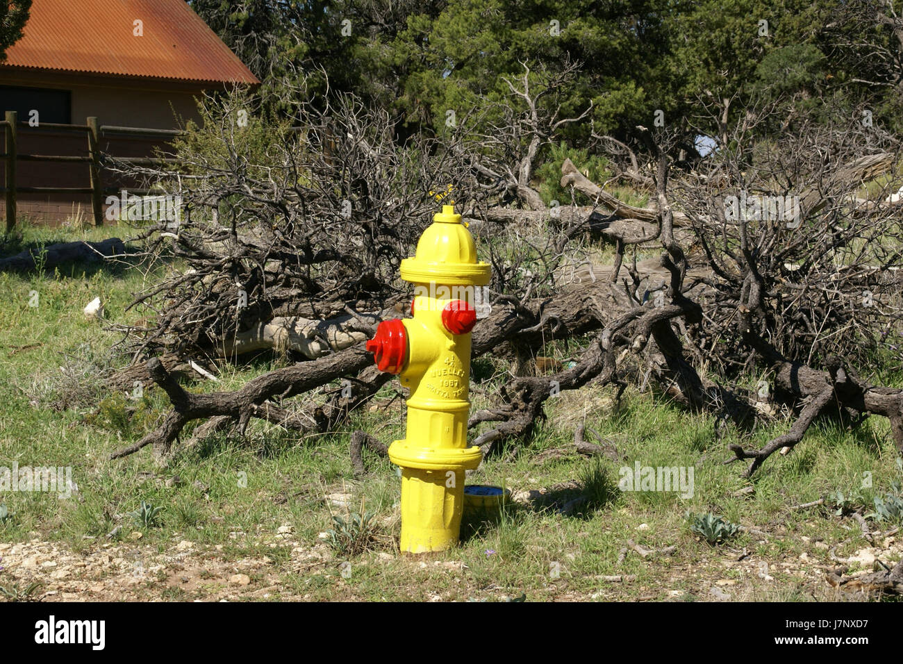 Il 14 settembre 2012, un idrante del fuoco è stato fotografato al Grand Canyon in Arizona. L'immagine mette in evidenza una giustapposizione di infrastrutture moderne con la bellezza naturale del paesaggio del Grand Canyon. Foto Stock