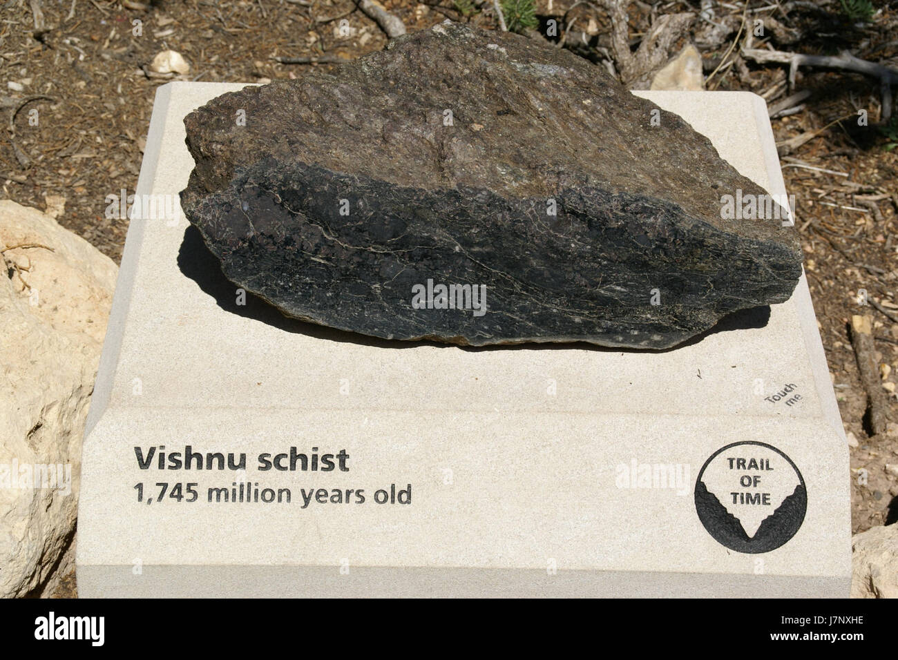 Il Vishnu Schist è un'antica formazione rocciosa situata nel Grand Village Canyon, Arizona. Fa parte della storia geologica del Grand Canyon, mostrando alcune delle rocce più antiche della Terra, risalenti a oltre 1,7 miliardi di anni fa. Foto Stock