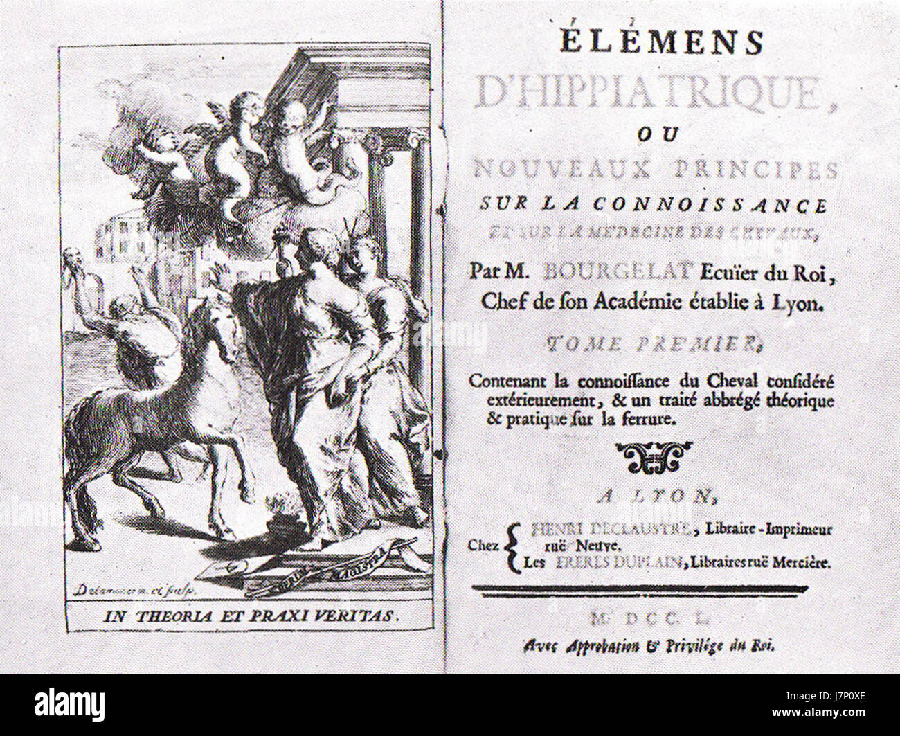 "Elemens d'hippiatrique" di Bourgelat è un lavoro fondamentale sulla scienza veterinaria, incentrato sulla cura e il trattamento dei cavalli. Delinea le principali pratiche mediche e le conoscenze veterinarie per la gestione della salute degli equidi. Foto Stock