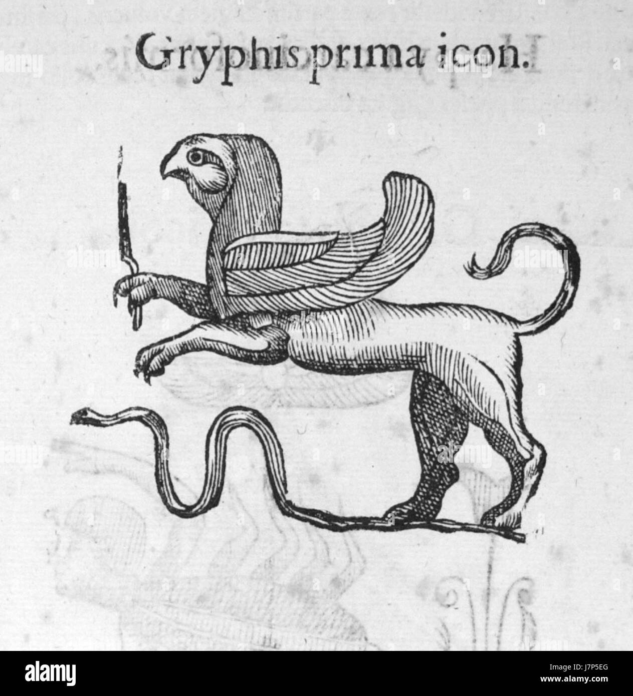 Aldrovandi 0342T Foto Stock