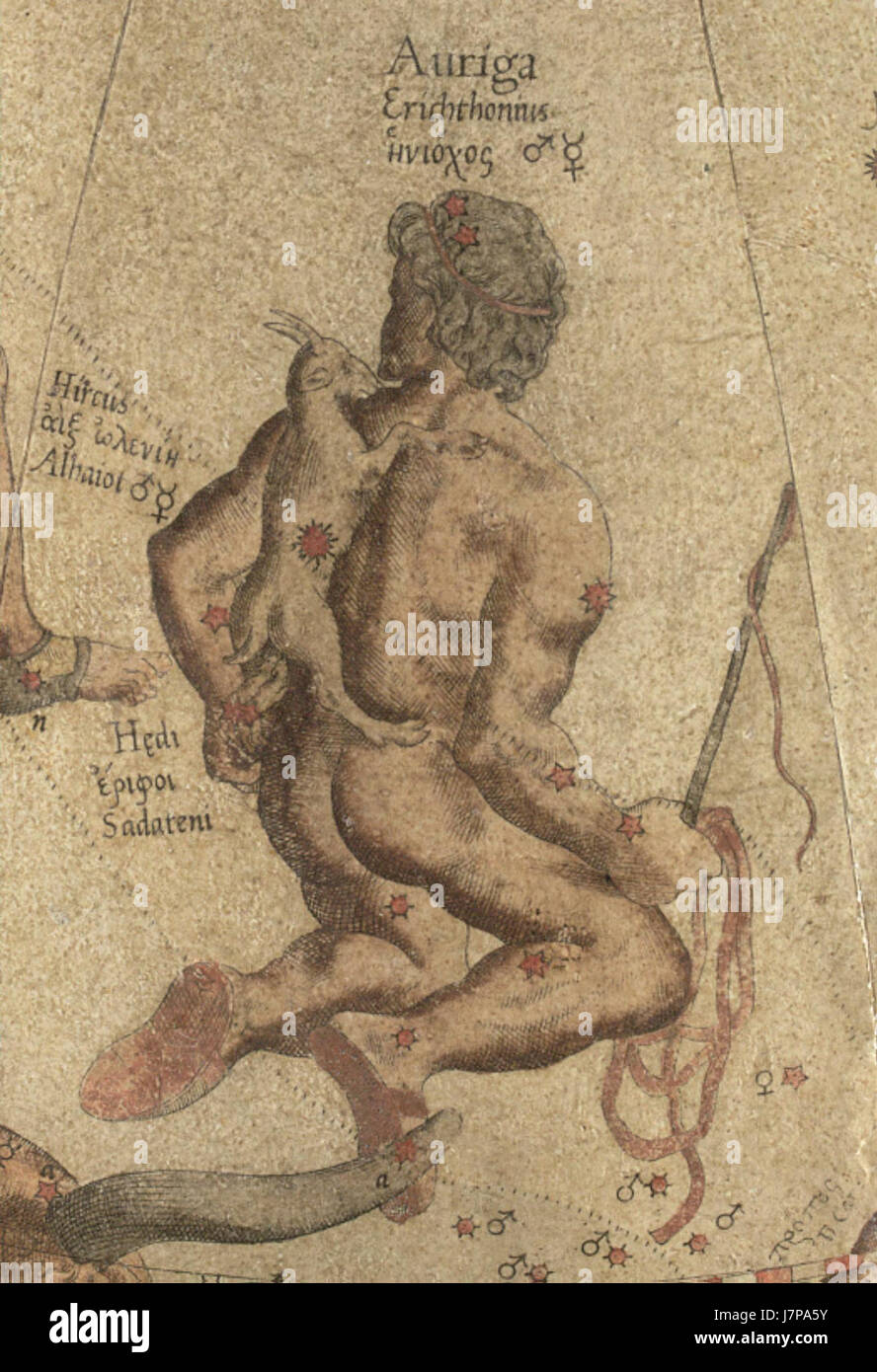 Auriga Mercator è una costellazione situata nel cielo settentrionale. Il suo nome deriva dal latino, che significa "il cavaliere", ed è associato al mito greco dell'auriga. La costellazione è visibile nell'emisfero settentrionale in periodi specifici dell'anno. Foto Stock
