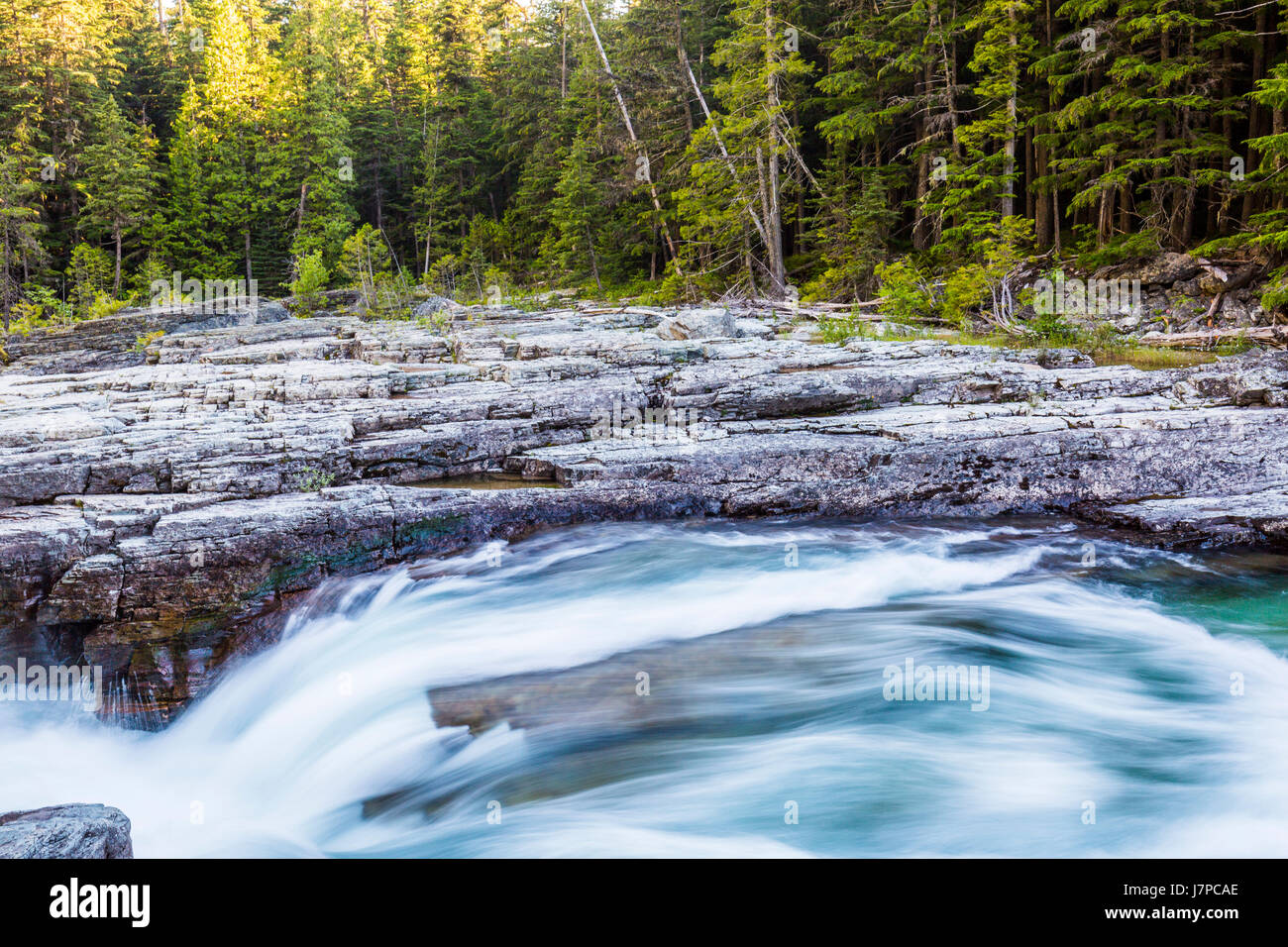 Impetuoso ruscello di acqua corrente del flusso gorge montana ghiacciaio parete giardino paesaggi forestali torrente alpino Foto Stock