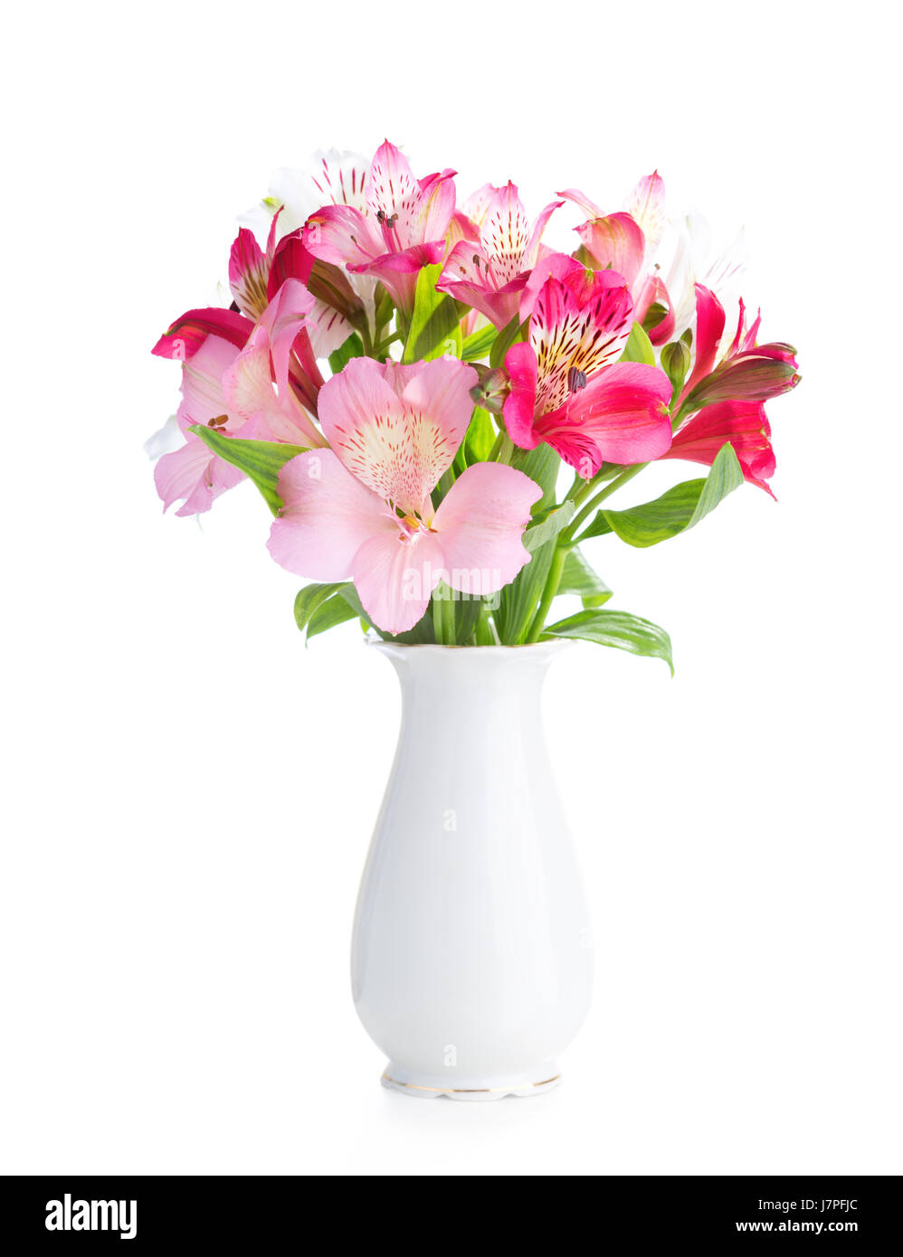 Bouquet di fiori Alstroemeria in porcellana bianca vaso isolato su sfondo bianco. Foto Stock