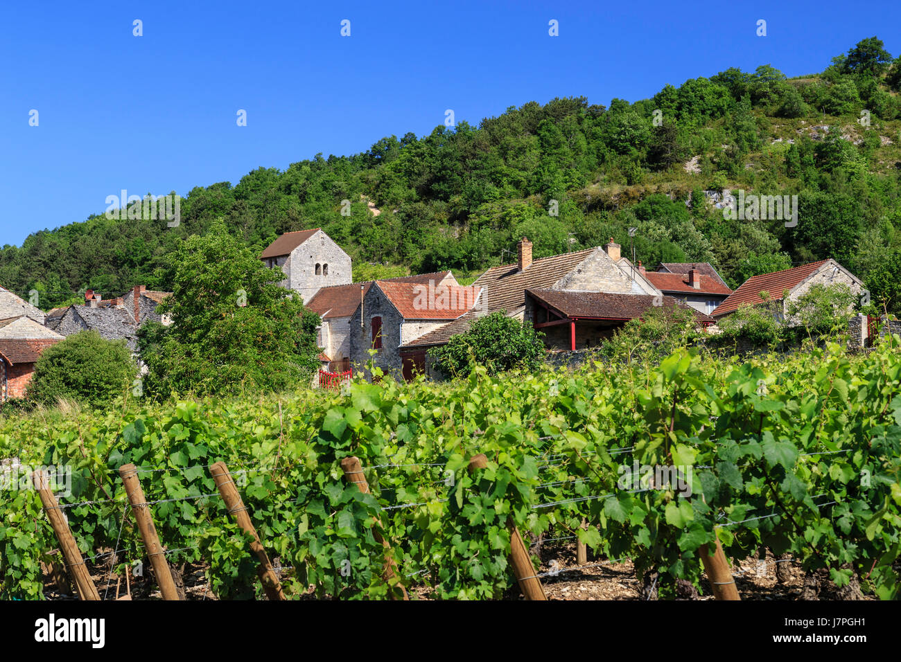 Francia, Cote d'Or, Auxey-Duesses, Auxey-le-Petit, il villaggio e vigneto Foto Stock