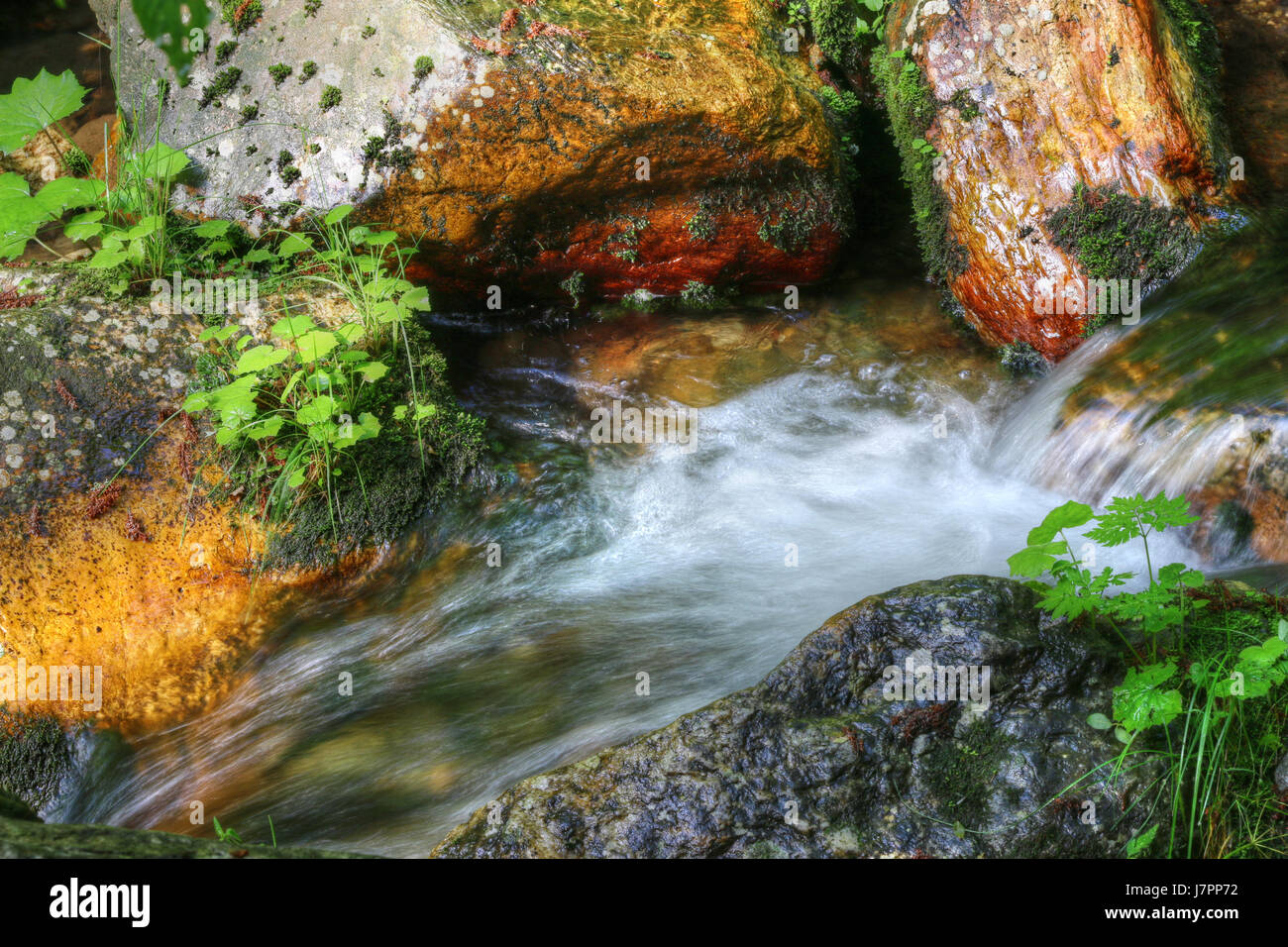 Dettaglio astratta dell'acqua che scorre sulle rocce Foto Stock
