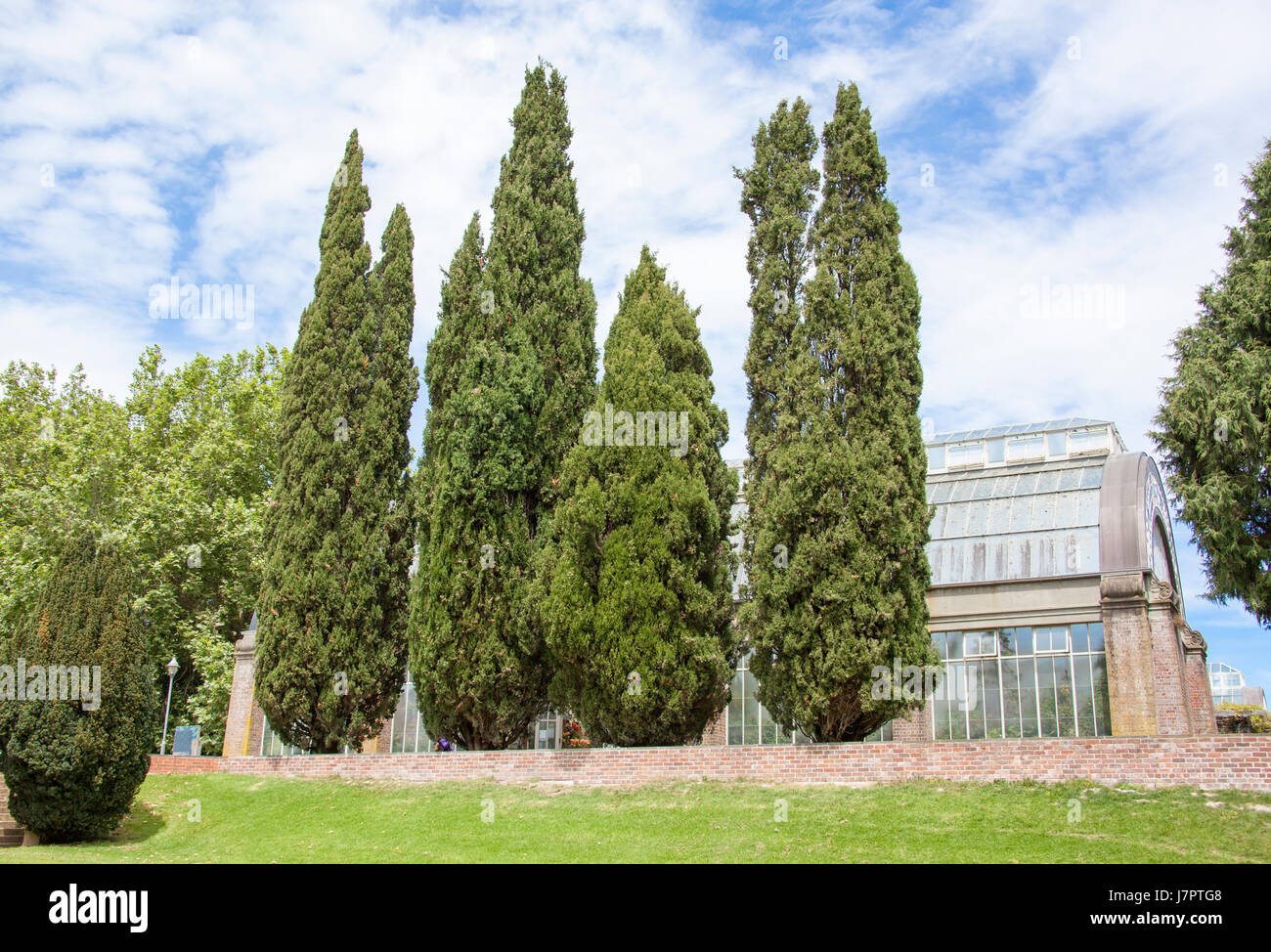 Auckland Domain parco pubblico e giardino d'inverno (Nuova Zelanda). Foto Stock