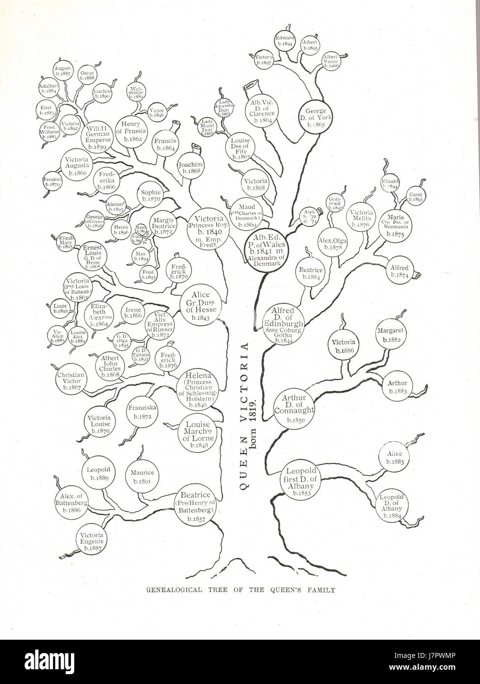 Albero Genealogico della regina Victoria 1897 Foto Stock