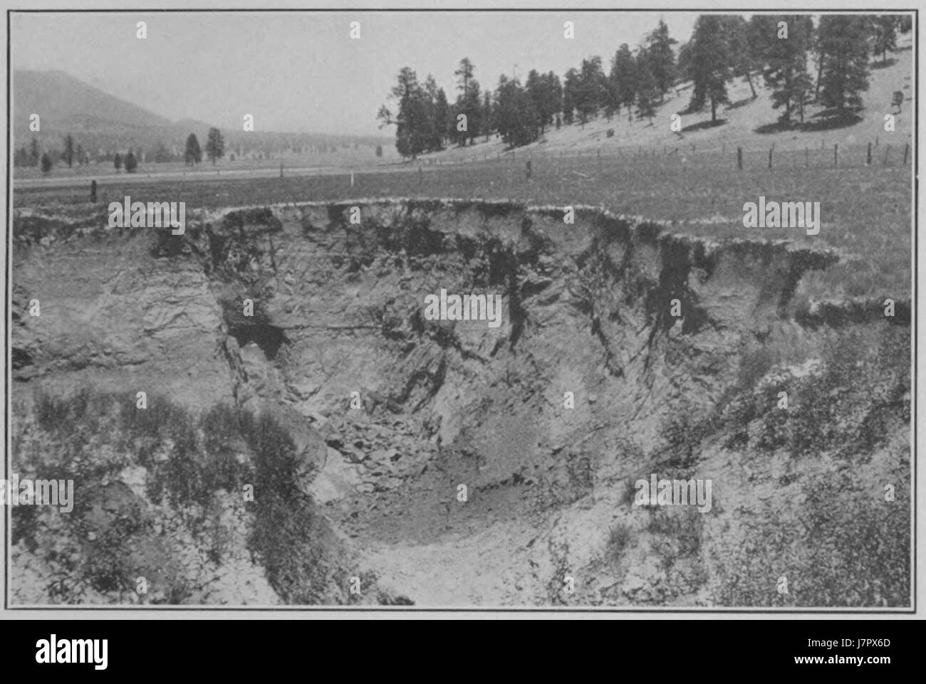 "Cicli climatici e crescita dell'albero piastra 1A" illustra la relazione tra i cambiamenti climatici e la crescita dell'albero. Mostra come vari fattori, come la temperatura e le precipitazioni, influenzano gli anelli degli alberi, fornendo informazioni sulle condizioni ambientali nel tempo. Foto Stock