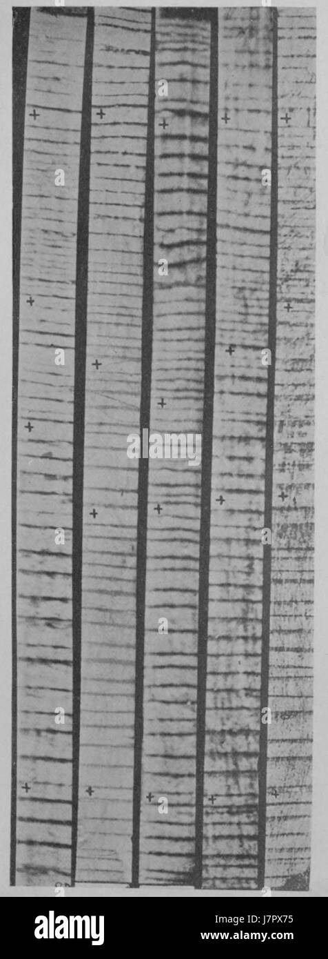 Cicli climatici e crescita di albero piastra 2 Foto Stock