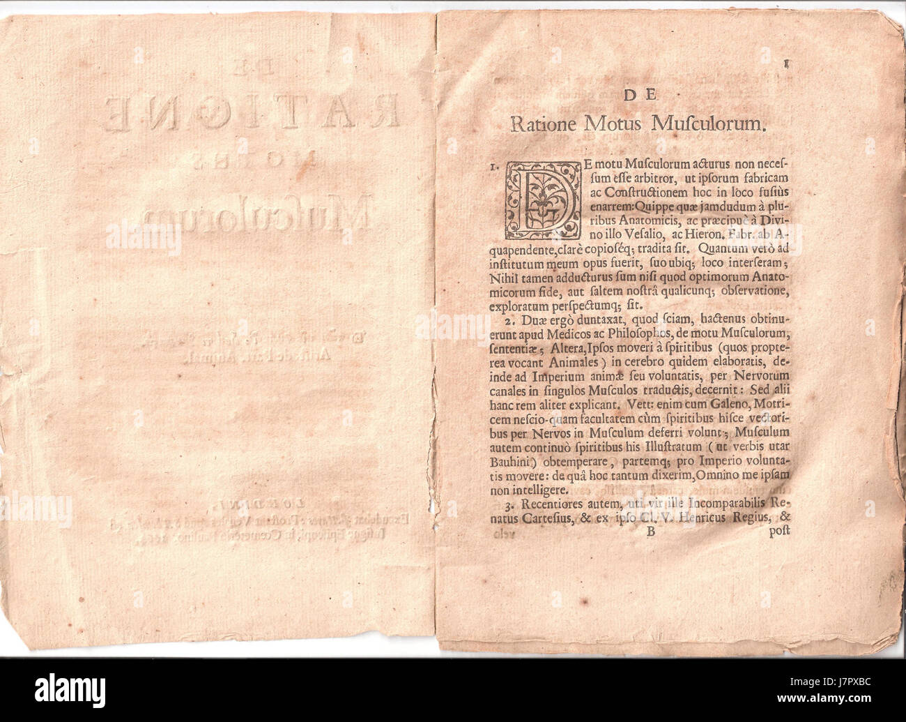 De Ratione Motus Musculorum 1 Foto Stock