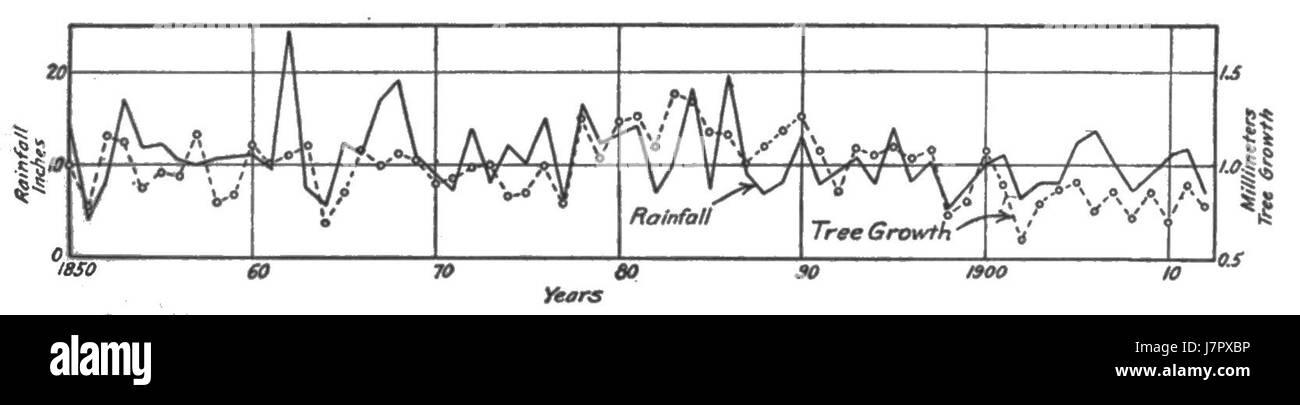Cicli climatici e crescita di albero Fig 21 Foto Stock