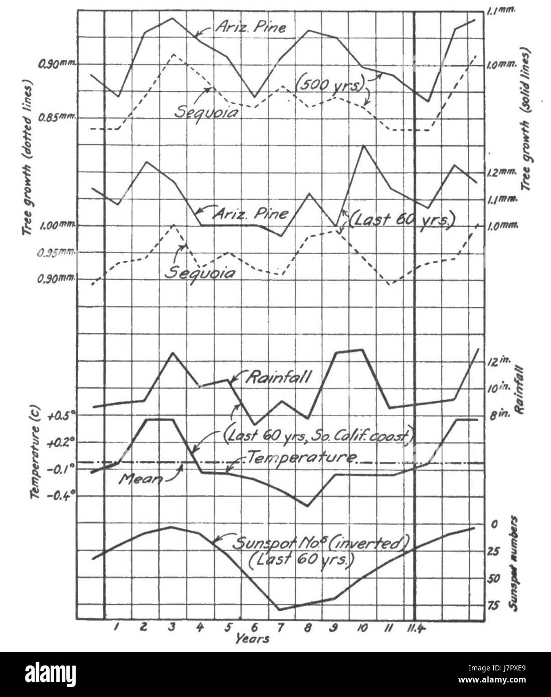 Lo studio dei cicli climatici e del loro impatto sulla crescita degli alberi è fondamentale per comprendere i cambiamenti ecologici. La figura 34 rappresenta probabilmente un'analisi grafica di come i climi variabili influenzino lo sviluppo degli alberi nel tempo. Foto Stock