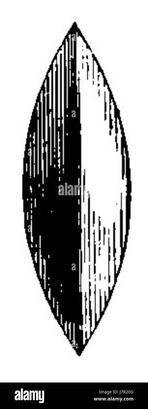 Questo riferimento all'Astronomie Populaire di FranÃ§ois Arago evidenzia una pagina dell'opera, in particolare la pagina 109 del volume 1, con un'illustrazione o la figura 47. Aragoâ lavoro mirava a rendere l'astronomia più accessibile al pubblico. Foto Stock