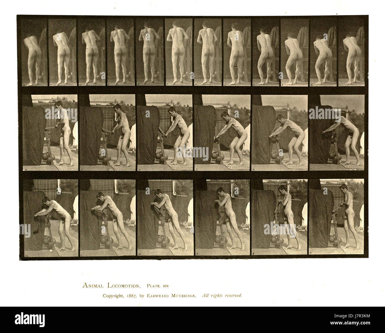 La targa 394 di *Animal Locomotion* di Eadweard Muybridge, ospitata nella Boston Public Library, cattura una sequenza di movimenti che dimostrano la meccanica della locomozione animale. Foto Stock