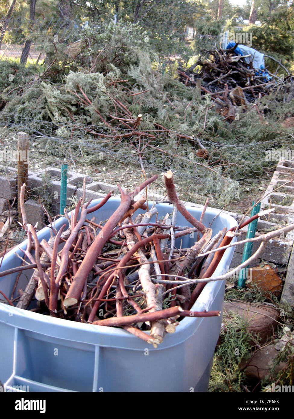 L'operazione Green Shred, condotta nel 2009, è stata un'iniziativa ambientale volta a distruggere in sicurezza documenti sensibili e promuovere il riciclaggio. L'operazione faceva parte degli sforzi volti a migliorare la gestione dei rifiuti e la sicurezza dei dati. Foto Stock