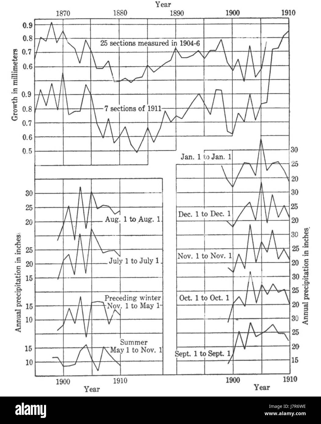 Cicli climatici e crescita di albero Fig 4 Foto Stock