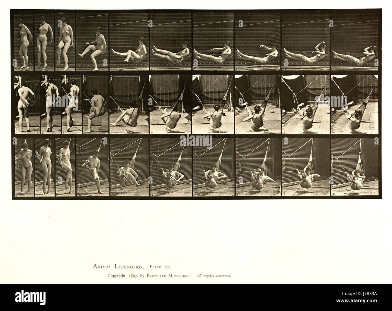 La piastra 261 di "Animal Locomotion" presenta una serie di immagini che catturano il movimento degli animali, contribuendo ai primi studi sul movimento animale e sulla fisiologia. Foto Stock