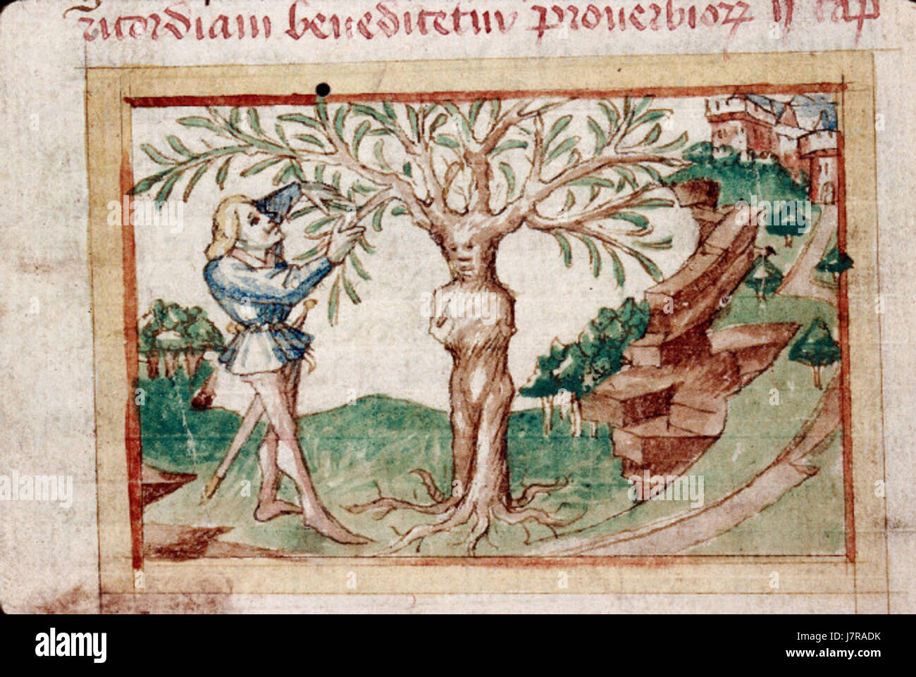 Tableau arbre en forme de coeur - Master Apollon