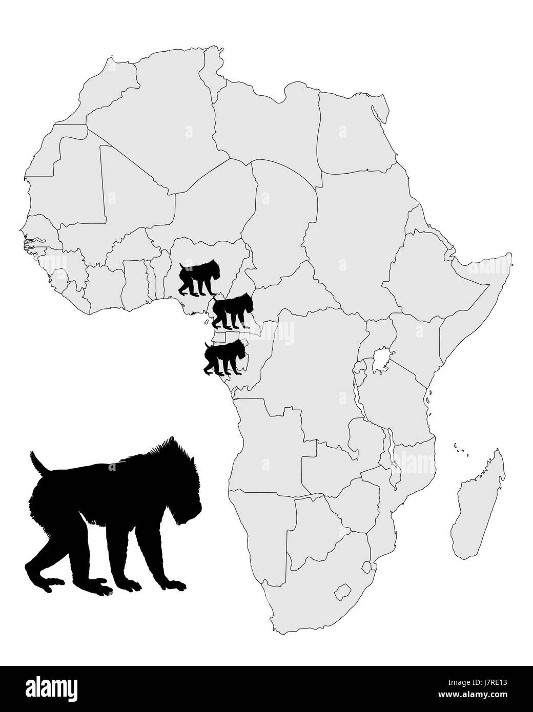 Facoltativo animale mammifero africa nera di scimmia swarthy jetblack nero profondo vuoto Foto Stock