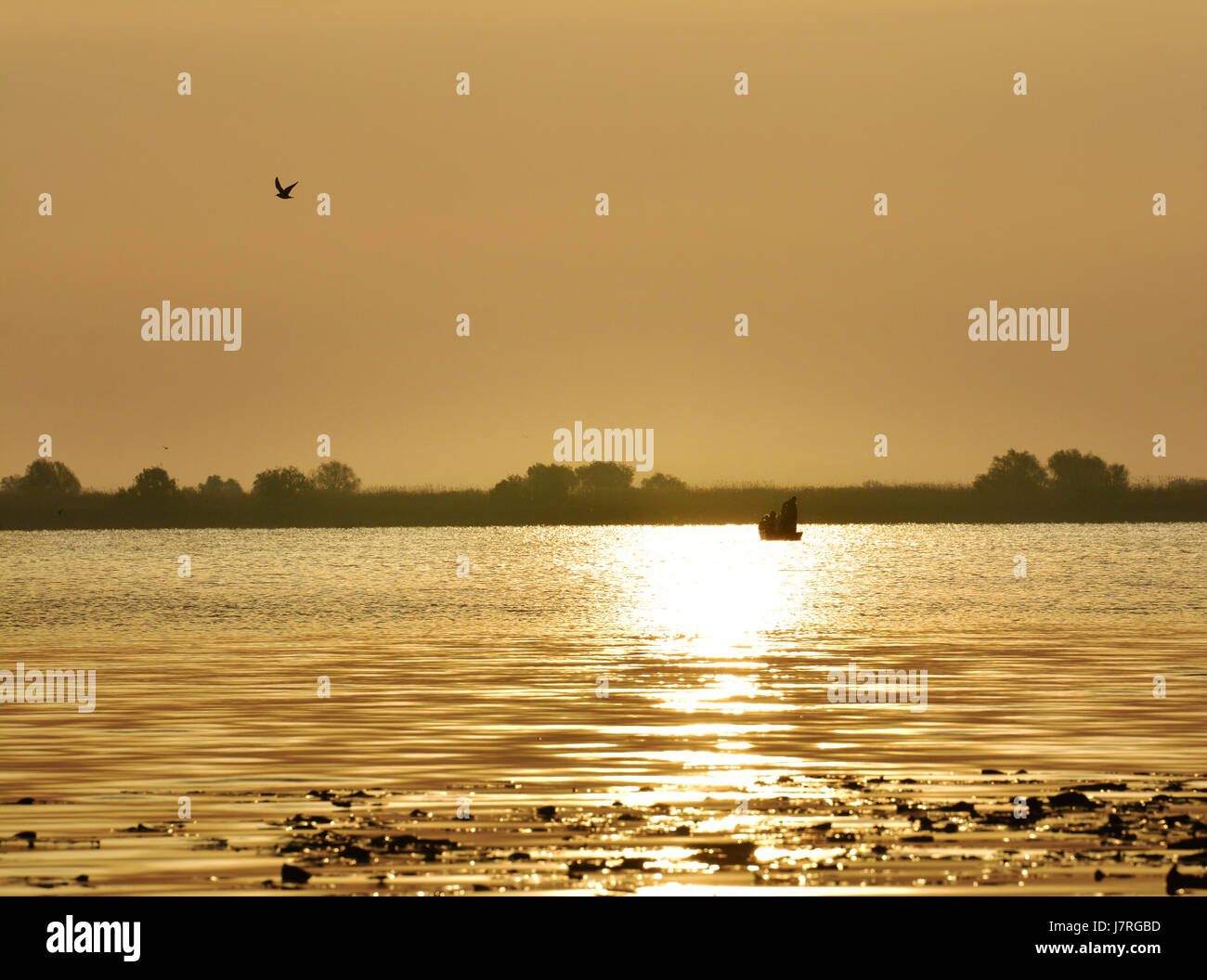 Incredibile sunrise in natura prenotazione del delta del Danubio, Romania Foto Stock
