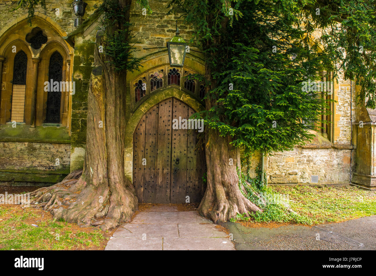 St Edward Chiesa parrocchiale - La porta nord fiancheggiata da alberi di tasso Foto Stock