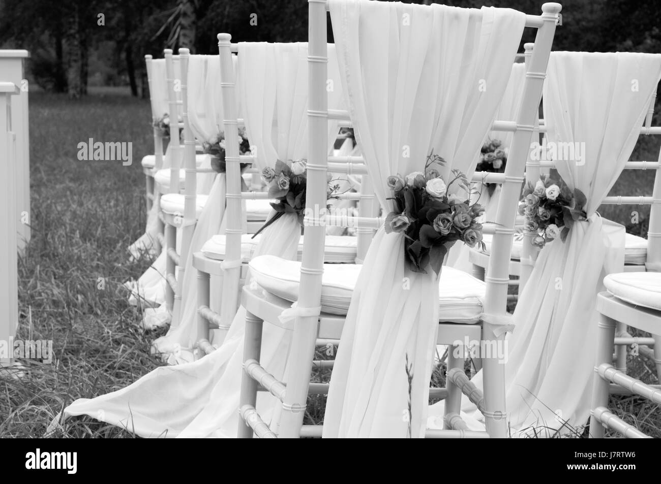 Sedie bianche stand in righe prima di nozze altare con fiori nel parco. In bianco e nero Foto Stock