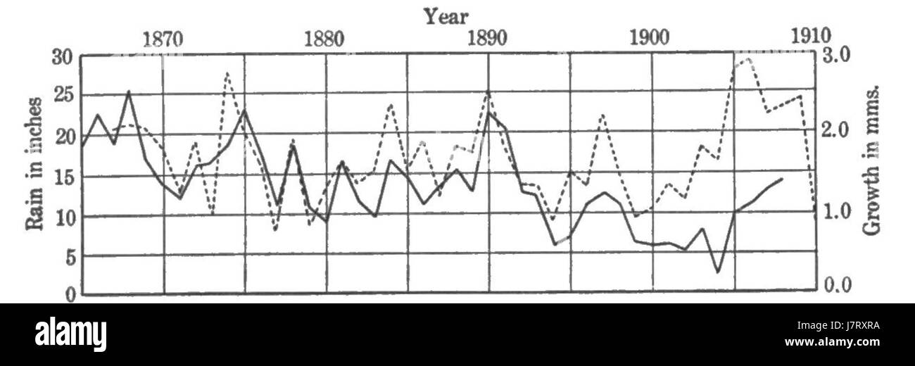Cicli climatici e crescita di albero Fig 7 Foto Stock