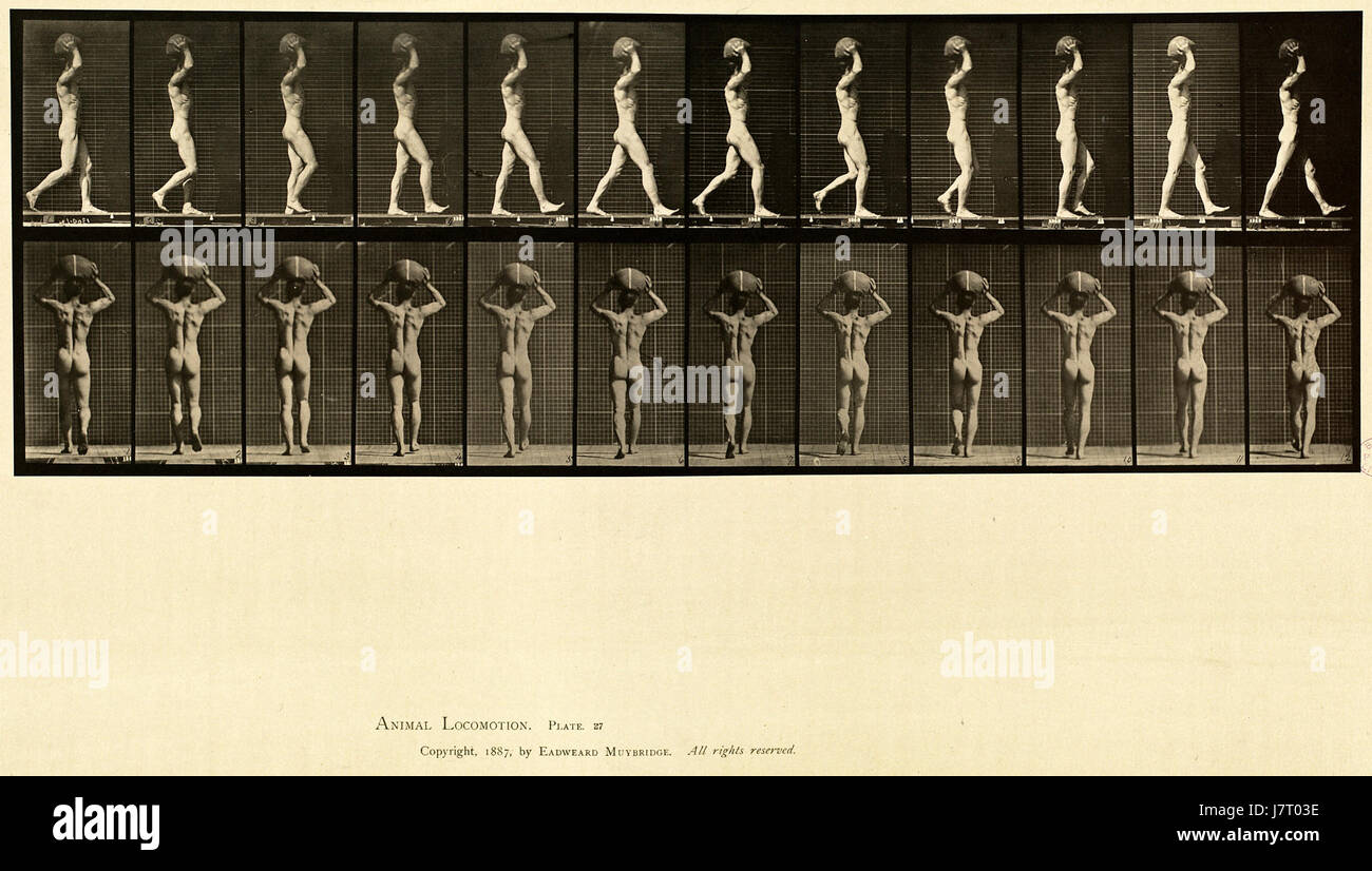Locomozione animale. La piastra 27 (Boston Public Library) Foto Stock