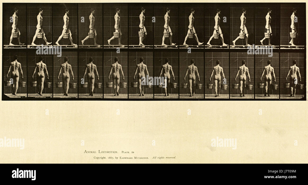 Locomozione animale. La piastra 29 (Boston Public Library) Foto Stock