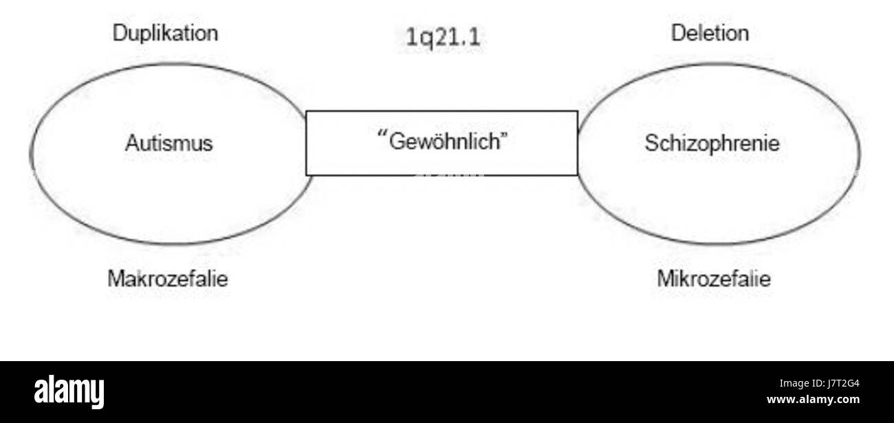 1q21.1 structuur Duits Foto Stock