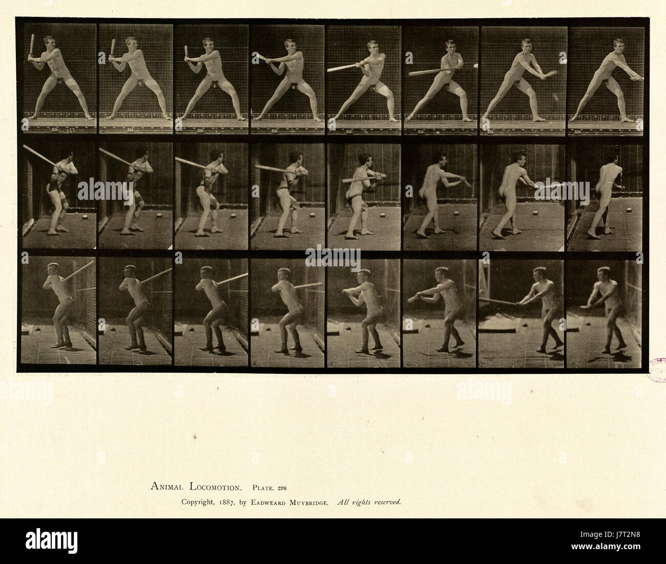 Locomozione animale. Piastra 276 (Boston Public Library) Foto Stock