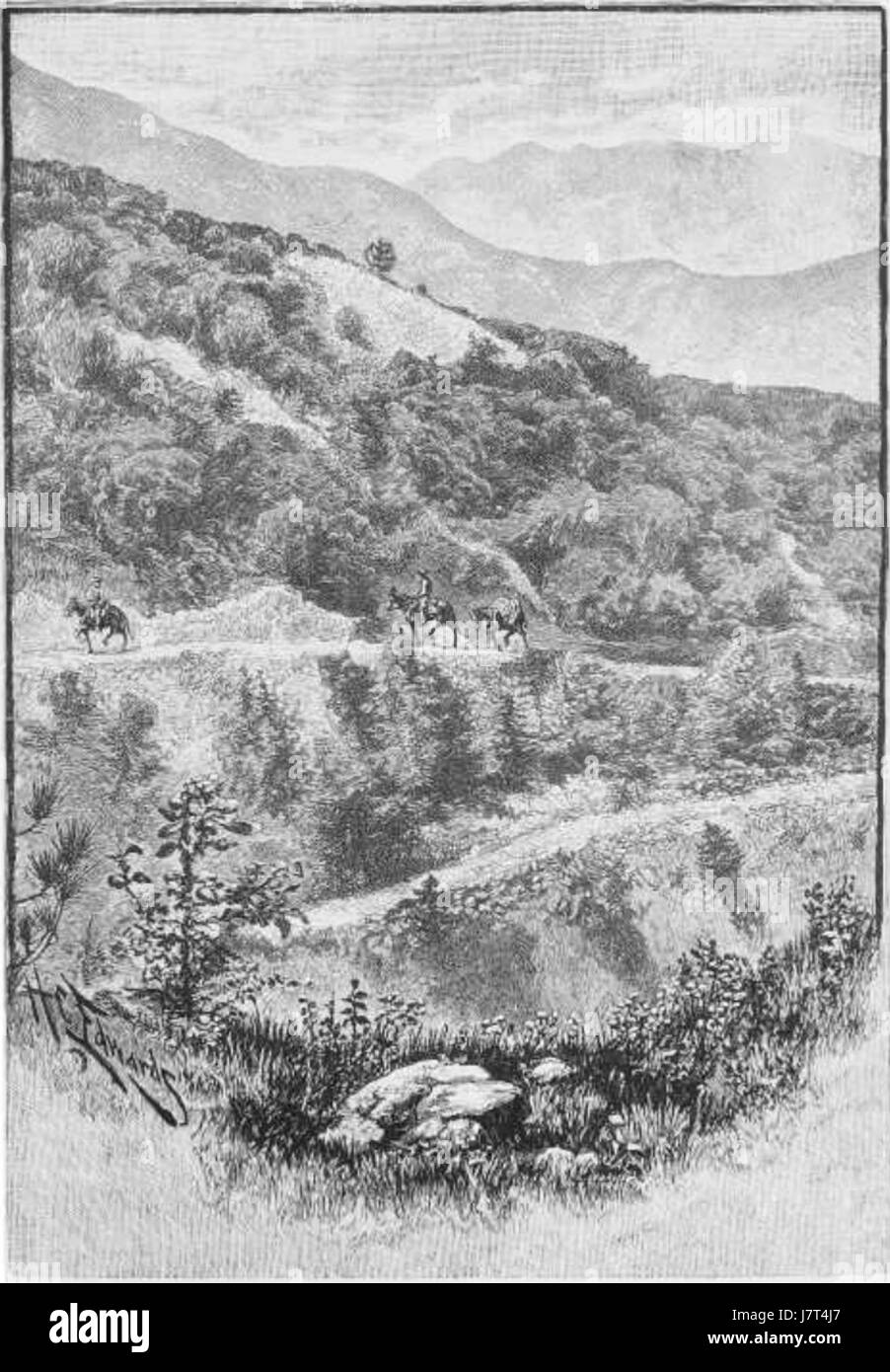 La strada andina in Colombia fa parte della vasta rete stradale che attraversa la catena montuosa andina. Questa zona è conosciuta per il suo terreno accidentato e i paesaggi spettacolari. Il sistema stradale svolge un ruolo cruciale nel collegare le regioni remote con i centri urbani, facilitando il commercio e i trasporti. Le strade andine sono spesso tortuose e strette, offrendo vedute panoramiche delle montagne, delle foreste e delle valli circostanti. Foto Stock