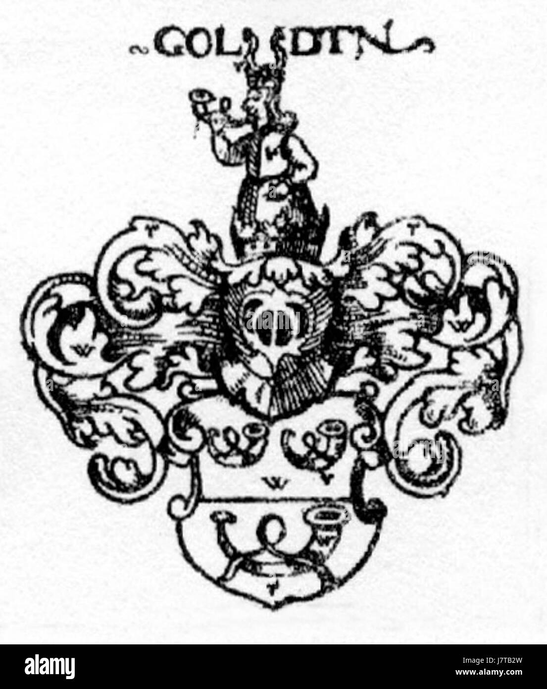 COA Gold si riferisce a un riferimento specifico all'oro, possibilmente in un contesto finanziario o storico. Il termine "COA" può indicare un'azienda, una certificazione o una moneta o una barra specifica relativa a investimenti in oro o oggetti da collezione. Foto Stock